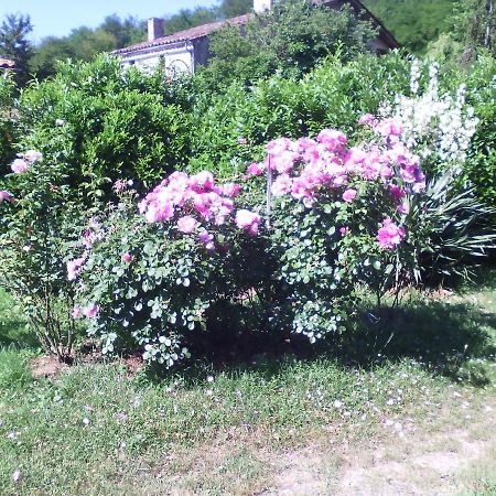 L'Ancien Patronage Guest House Caumont-sur-Garonne Exterior foto