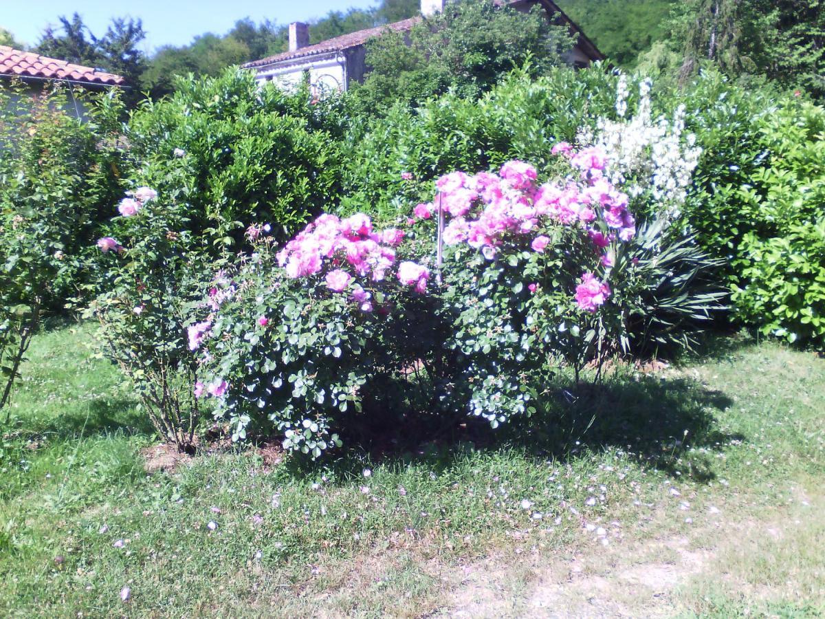 L'Ancien Patronage Guest House Caumont-sur-Garonne Exterior foto